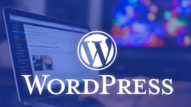 WordPress更换域名后-后台无法进入，网站模版错乱，css失效，网页中图片不显示。完整解决方案（含宝塔设置）-就要您就用
